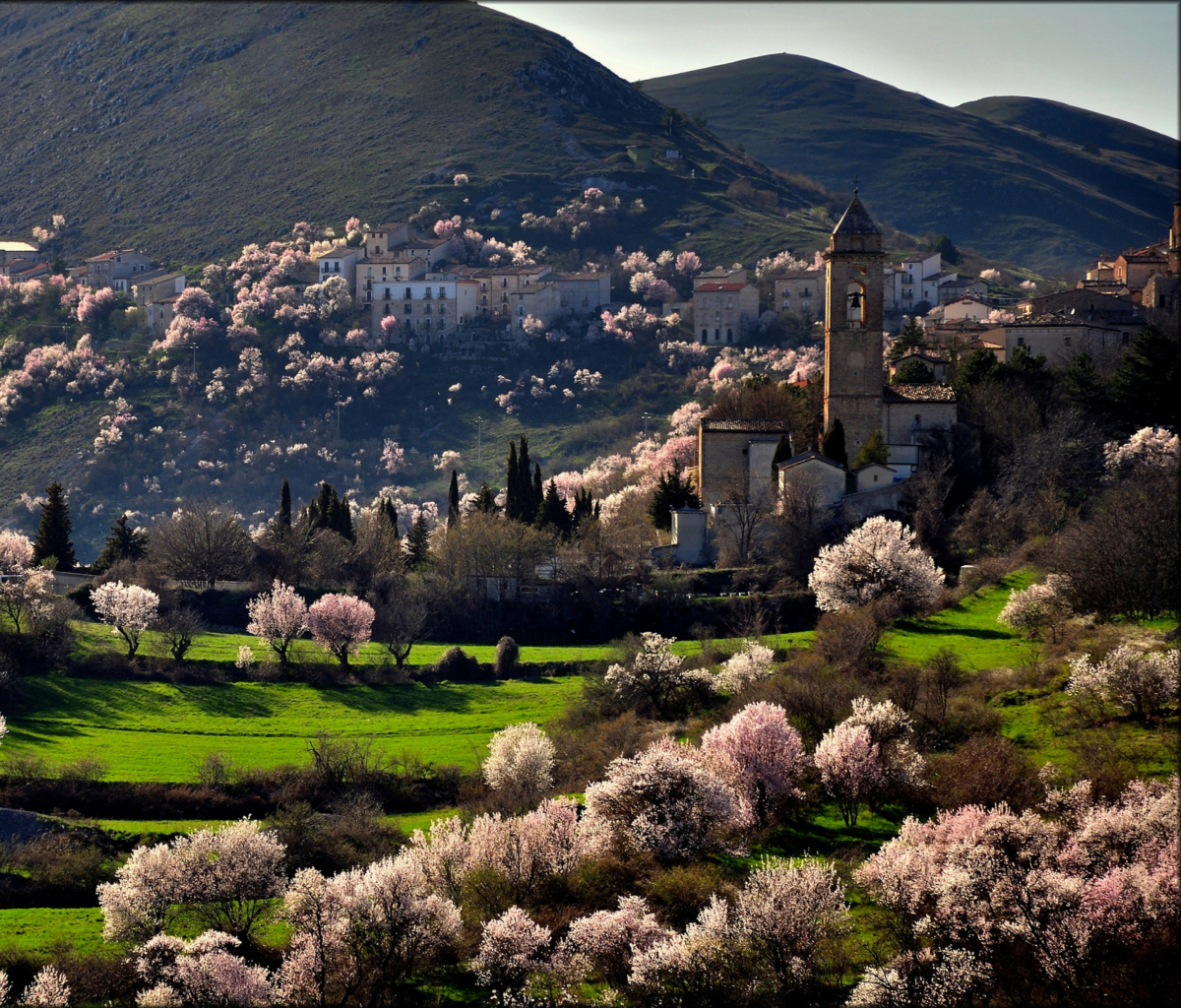 Sfondi Italy In Bloom 1200x1024