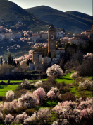 Italy In Bloom screenshot #1 132x176