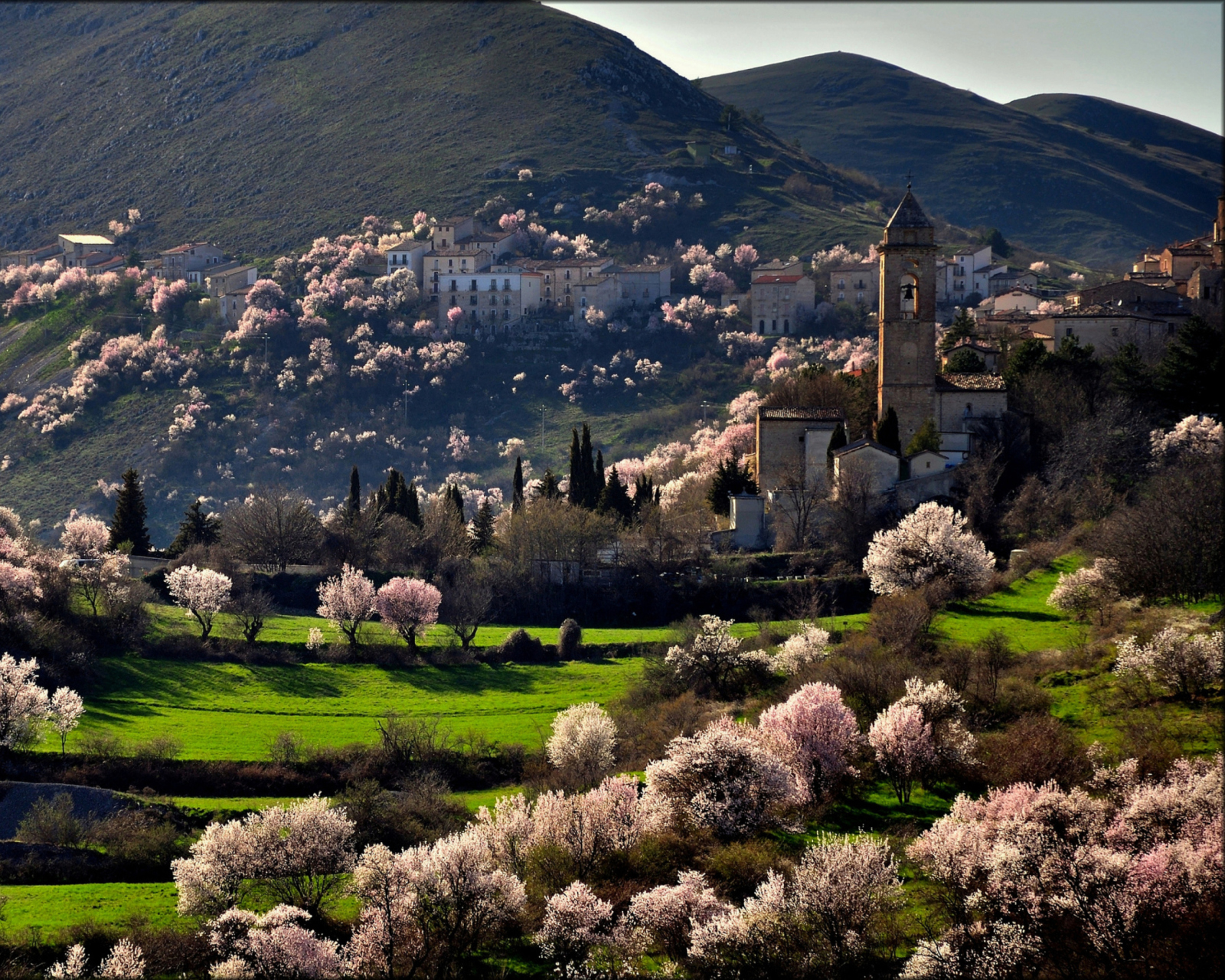 Sfondi Italy In Bloom 1600x1280