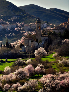 Italy In Bloom screenshot #1 240x320
