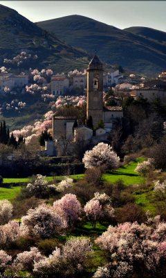 Italy In Bloom wallpaper 240x400
