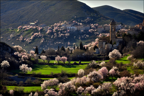 Das Italy In Bloom Wallpaper 480x320