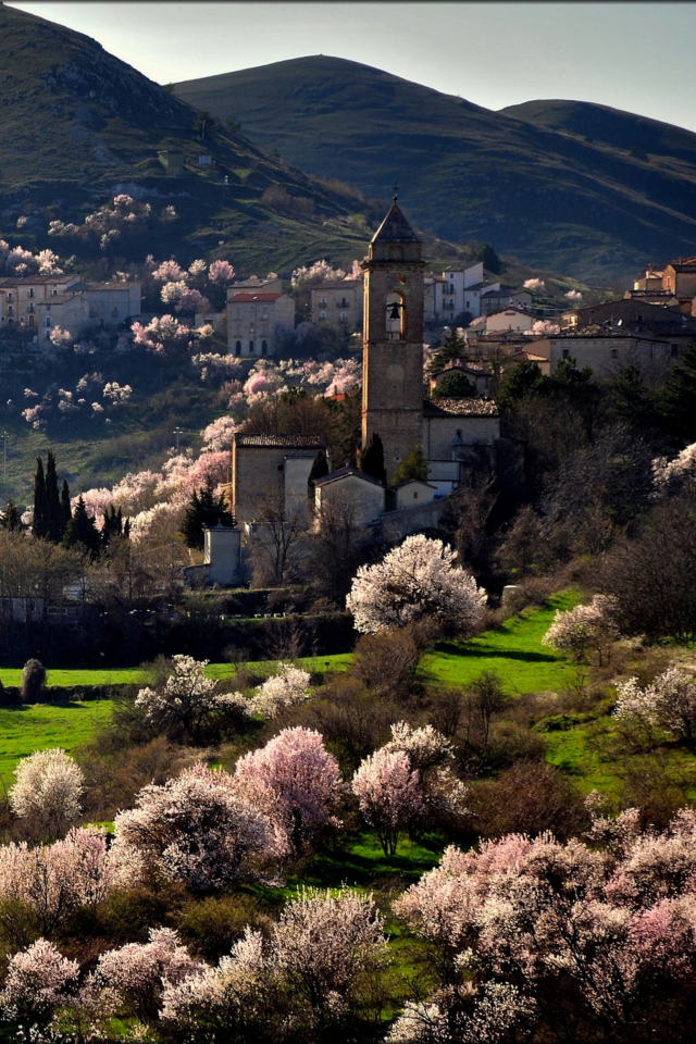 Das Italy In Bloom Wallpaper 640x960