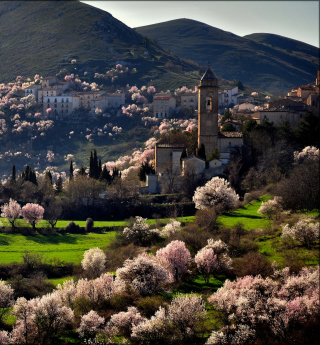 Italy In Bloom Wallpaper for iPad mini