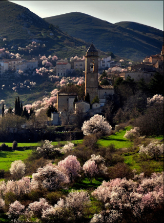 Italy In Bloom papel de parede para celular para iPhone 4S