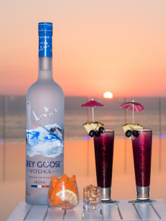 Grey Goose Vodka screenshot #1 240x320