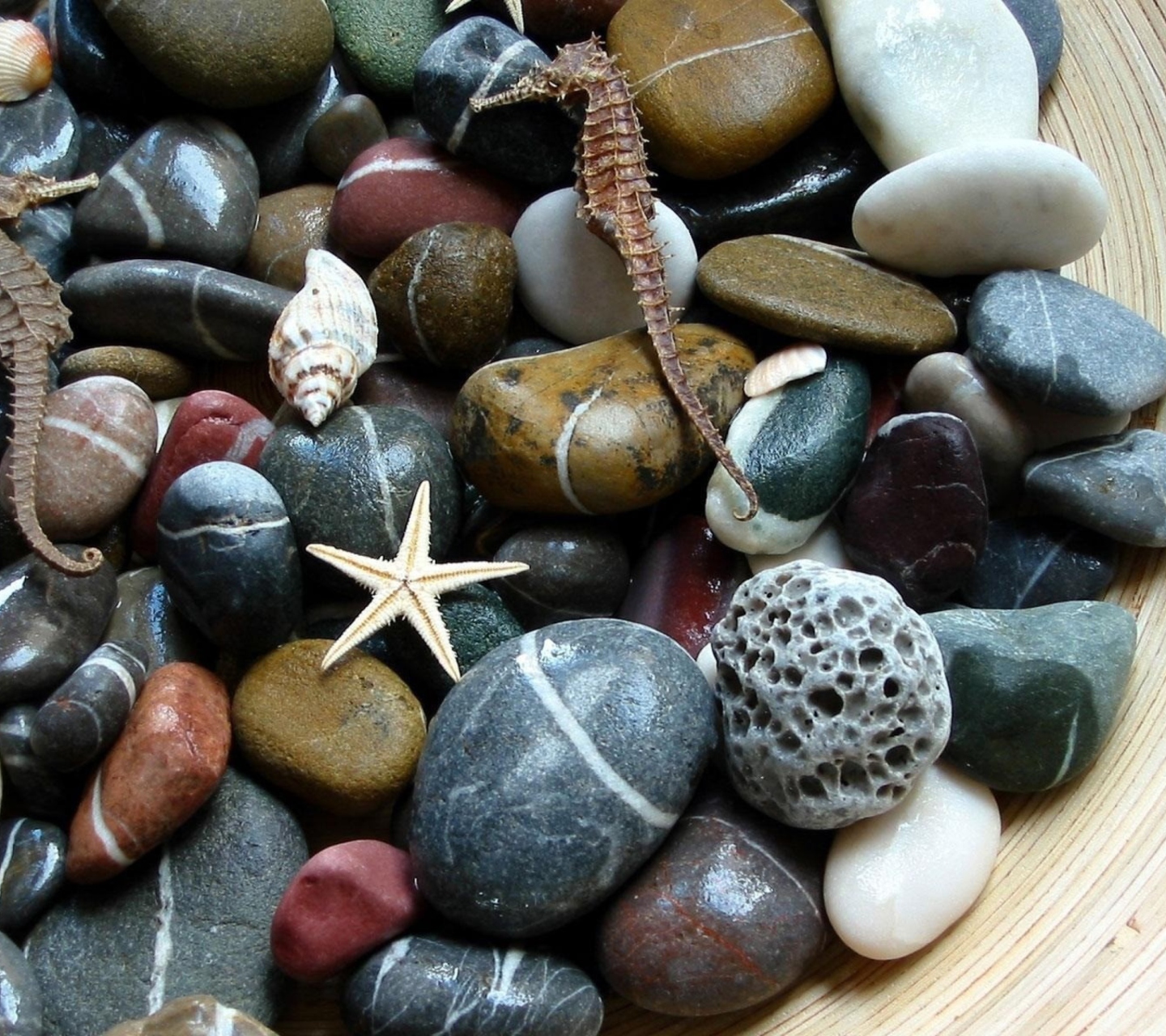 Sfondi Aquatic Stones 1440x1280