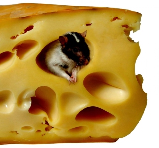Kostenloses Mouse And Cheese Wallpaper für Nokia 6100
