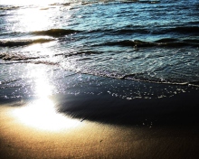 Beach Sunshine screenshot #1 220x176