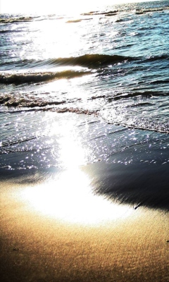 Beach Sunshine screenshot #1 240x400