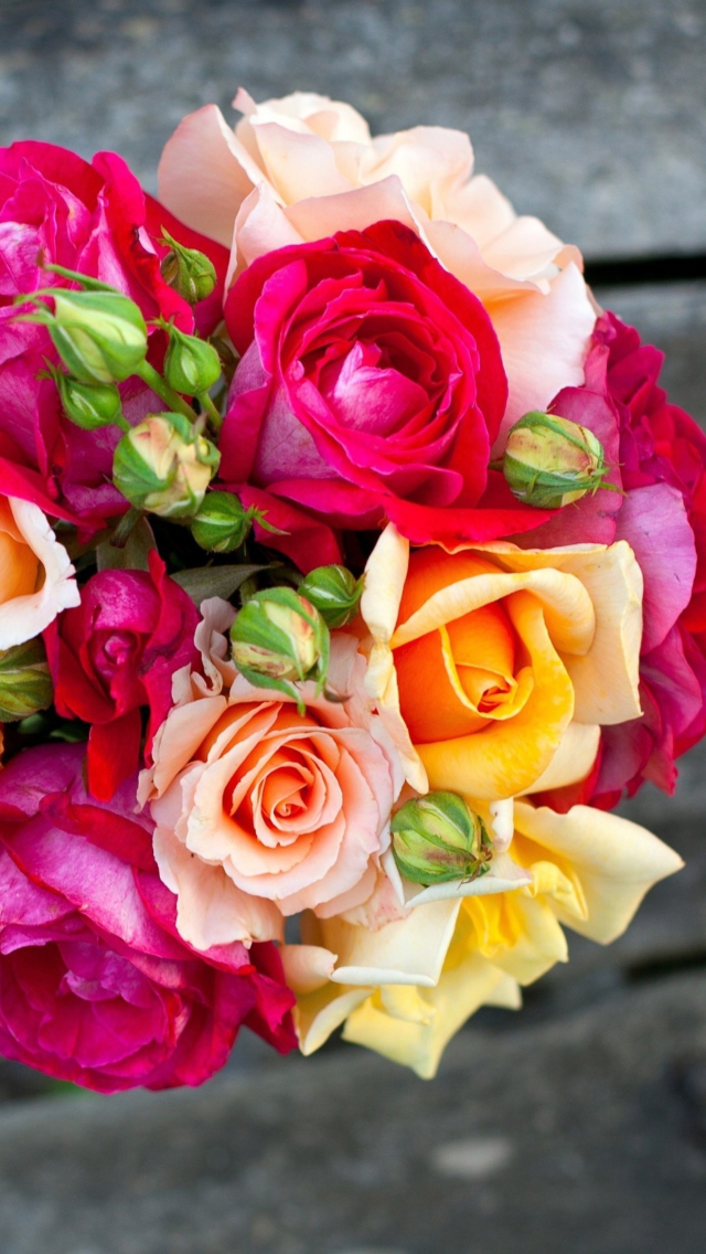 Amazing Roses Bouquet wallpaper 640x1136