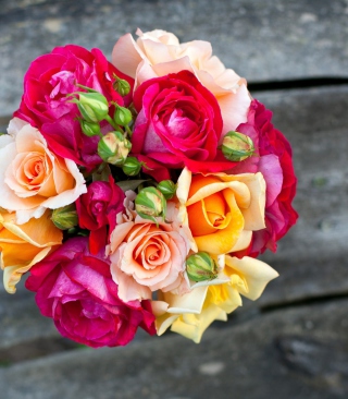 Amazing Roses Bouquet sfondi gratuiti per Samsung E3210