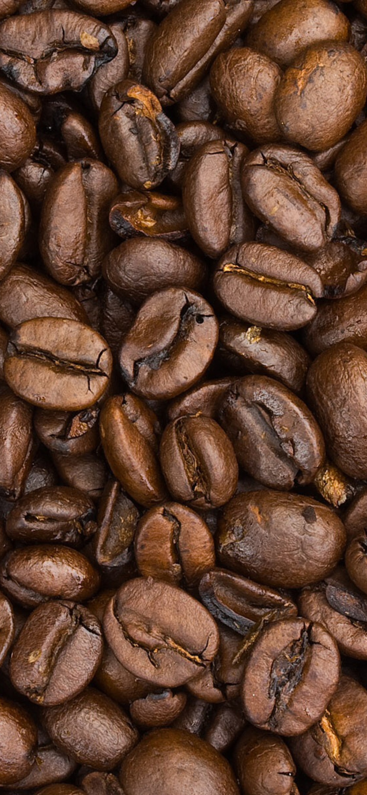 Roasted Coffee Beans wallpaper 1170x2532