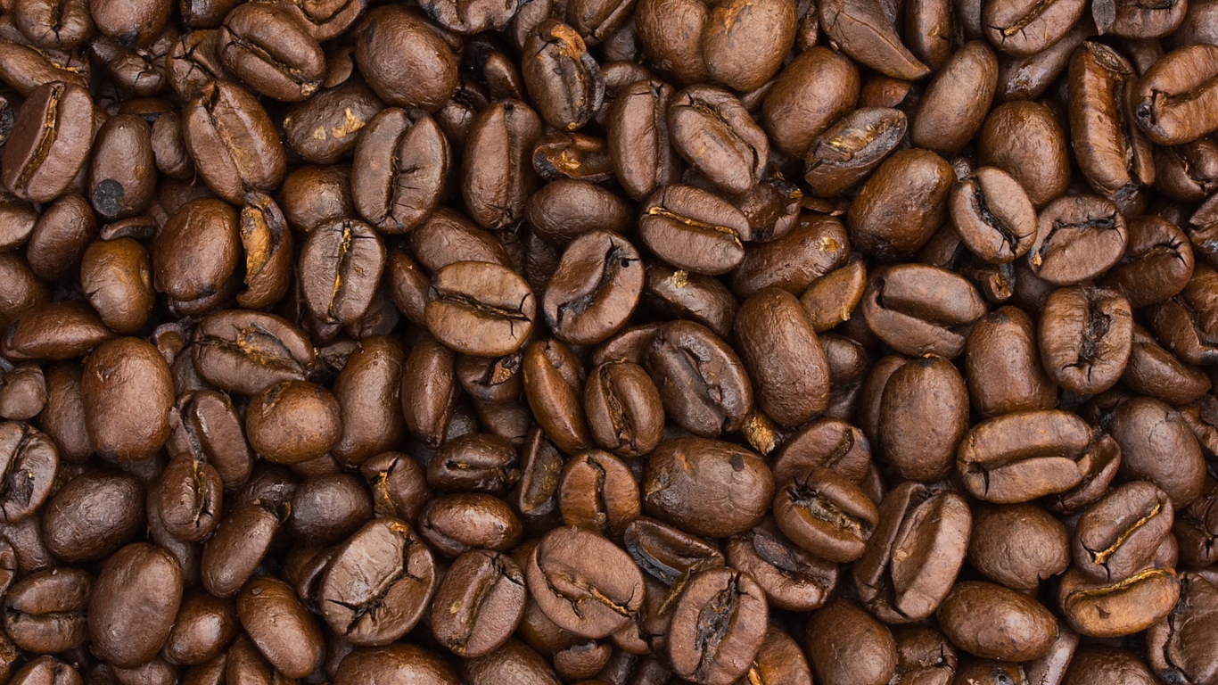 Roasted Coffee Beans wallpaper 1366x768
