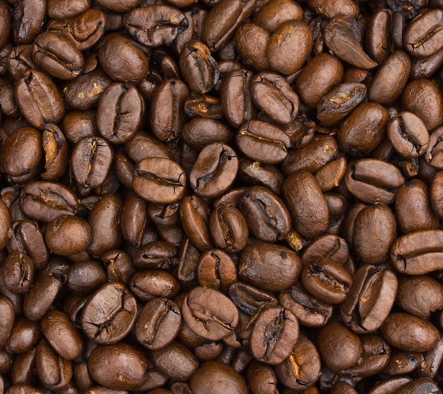 Das Roasted Coffee Beans Wallpaper 1440x1280