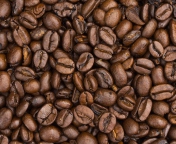 Roasted Coffee Beans screenshot #1 176x144