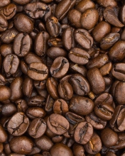 Roasted Coffee Beans wallpaper 176x220