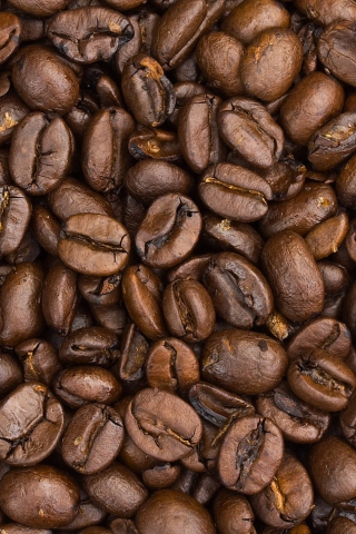 Roasted Coffee Beans wallpaper 320x480