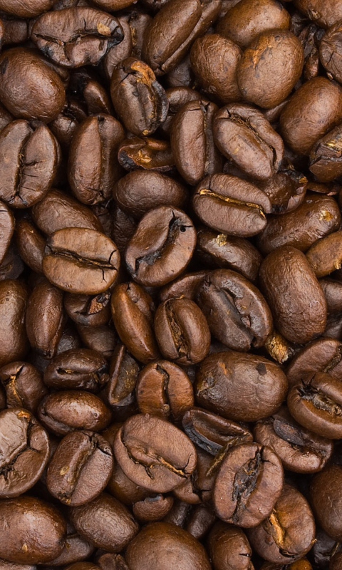 Fondo de pantalla Roasted Coffee Beans 480x800
