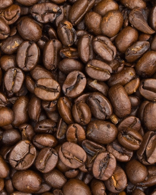 Roasted Coffee Beans Wallpaper for 240x320