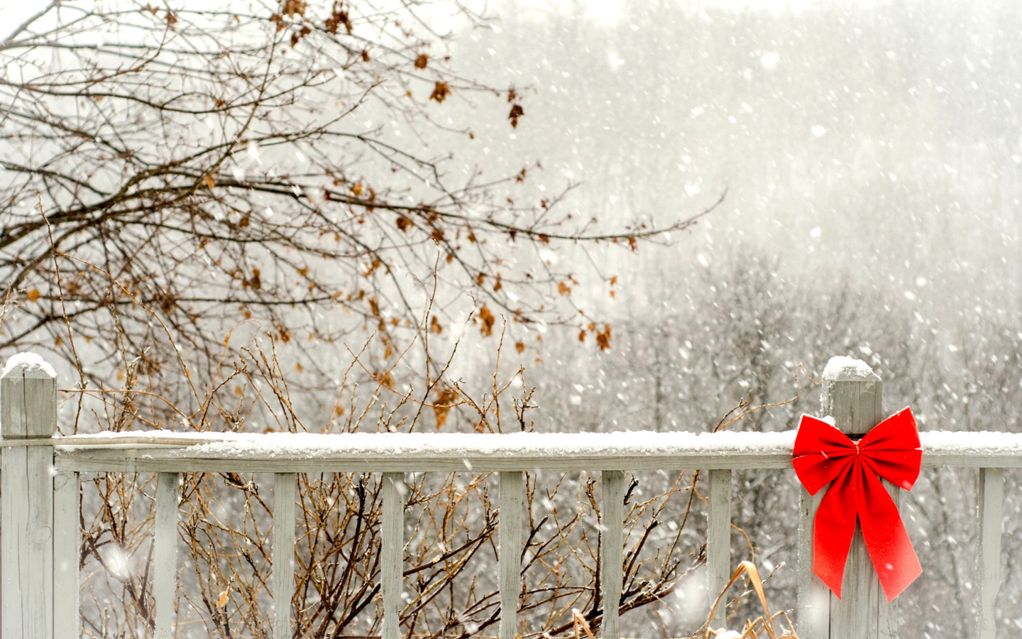 Sfondi Winter Fence 1440x900