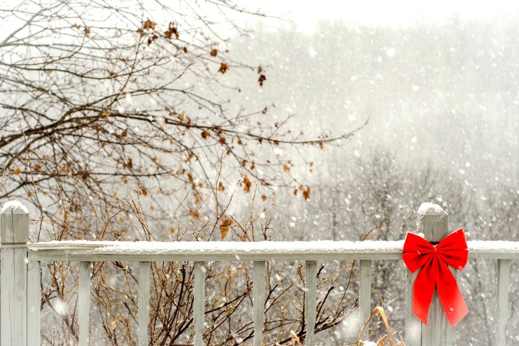 Sfondi Winter Fence