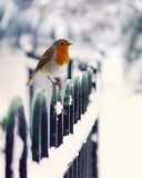 Winter Bird wallpaper 128x160