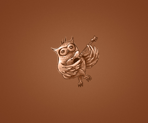 Funny Owl Playing Guitar Illustration wallpaper 480x400