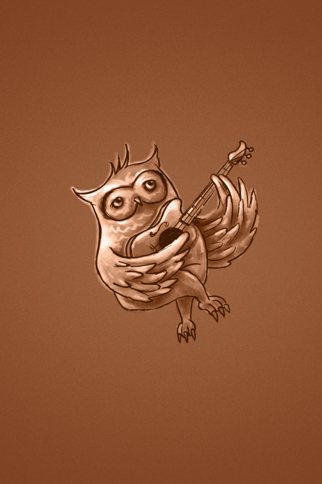 Sfondi Funny Owl Playing Guitar Illustration 640x960