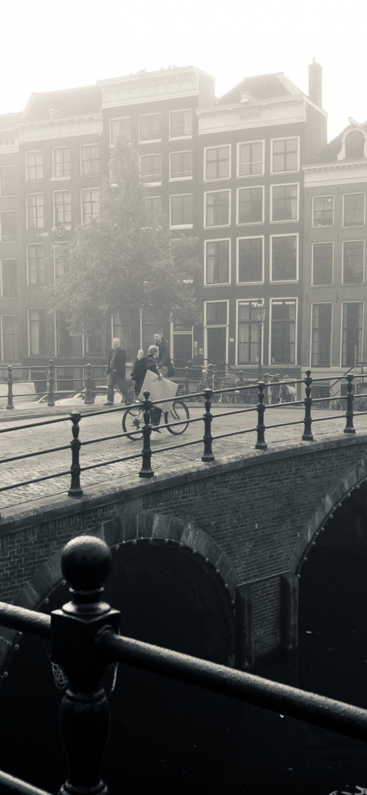 Обои Misty Amsterdam 1170x2532