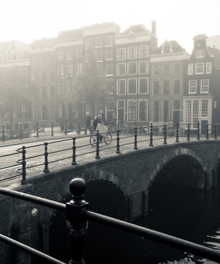 Misty Amsterdam Picture for 240x320