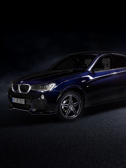 Screenshot №1 pro téma AC Schnitzer BMW X4 F26 480x640