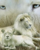 Fondo de pantalla White Lions 128x160