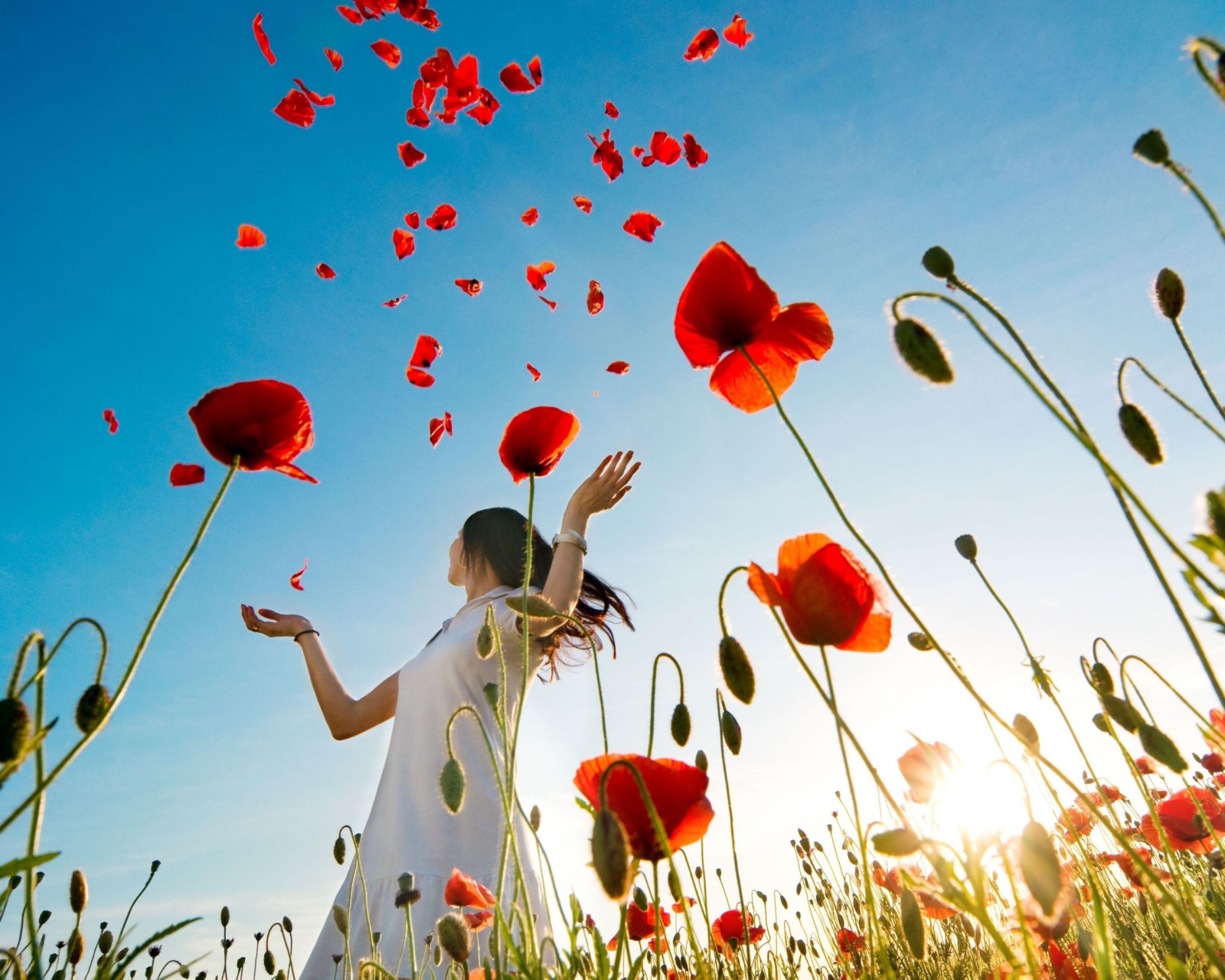 Sfondi Girl In Poppy Field 1600x1280