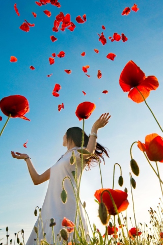 Das Girl In Poppy Field Wallpaper 320x480