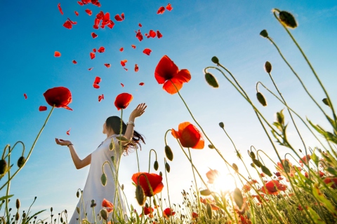 Sfondi Girl In Poppy Field 480x320