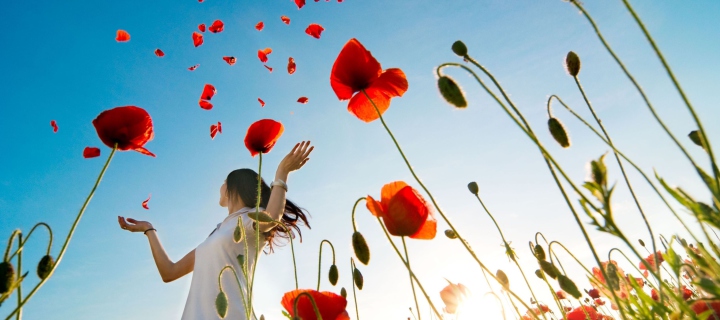 Girl In Poppy Field wallpaper 720x320