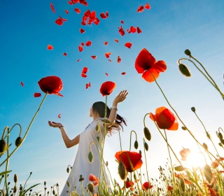 Girl In Poppy Field - Obrázkek zdarma pro 208x208