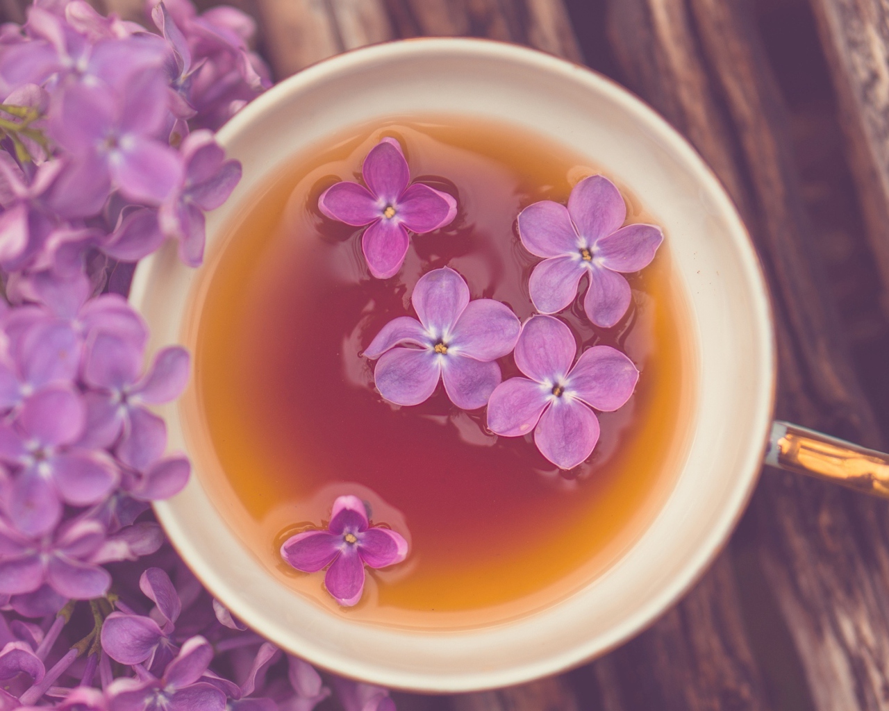 Lilac Tea wallpaper 1280x1024