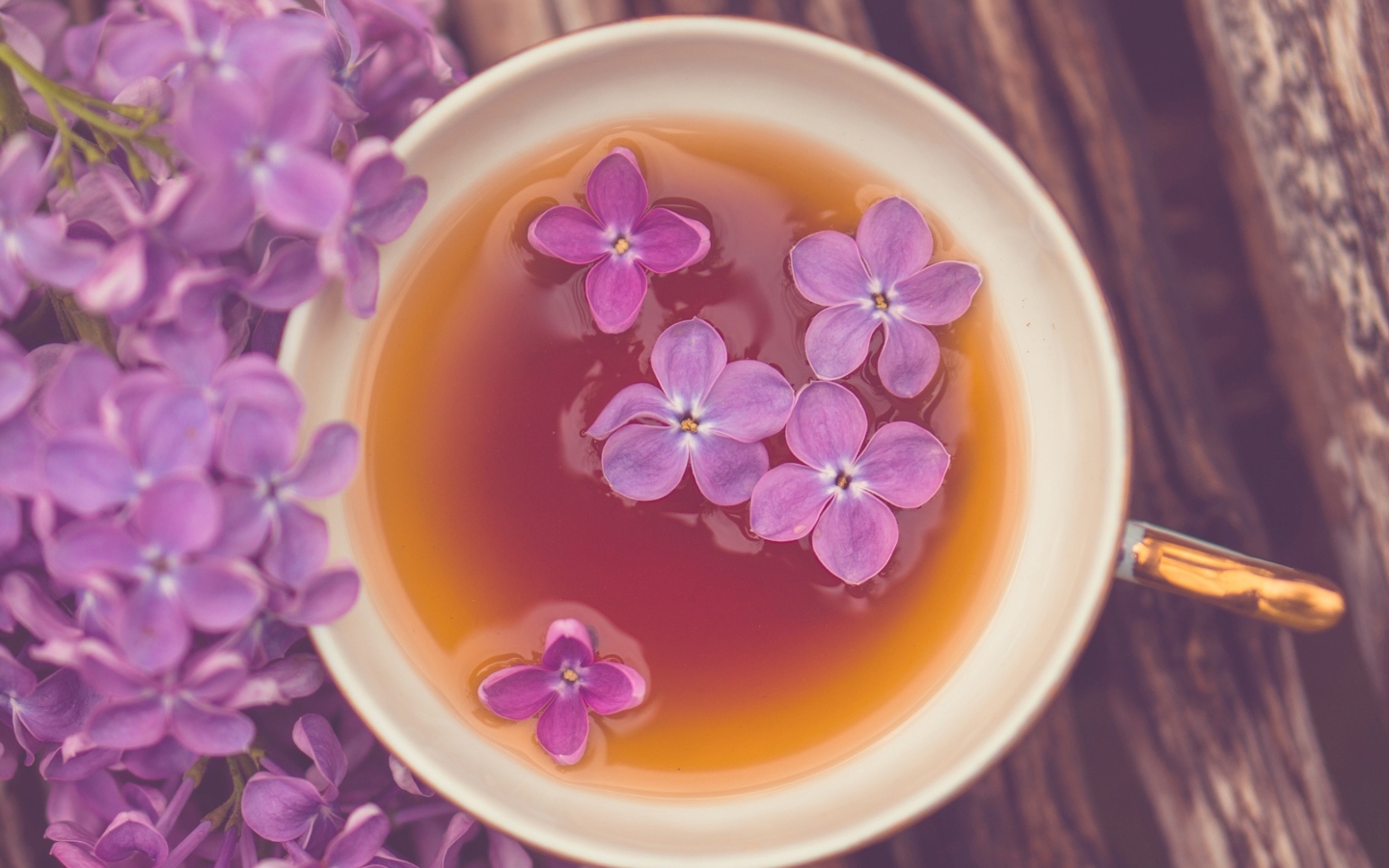 Fondo de pantalla Lilac Tea 1440x900