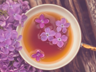 Das Lilac Tea Wallpaper 320x240