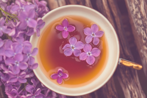 Das Lilac Tea Wallpaper 480x320