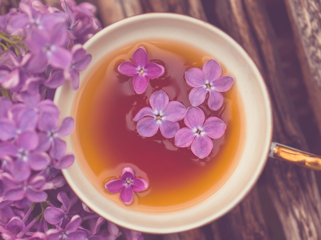 Lilac Tea wallpaper 640x480