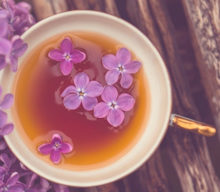 Lilac Tea - Obrázkek zdarma pro 208x208