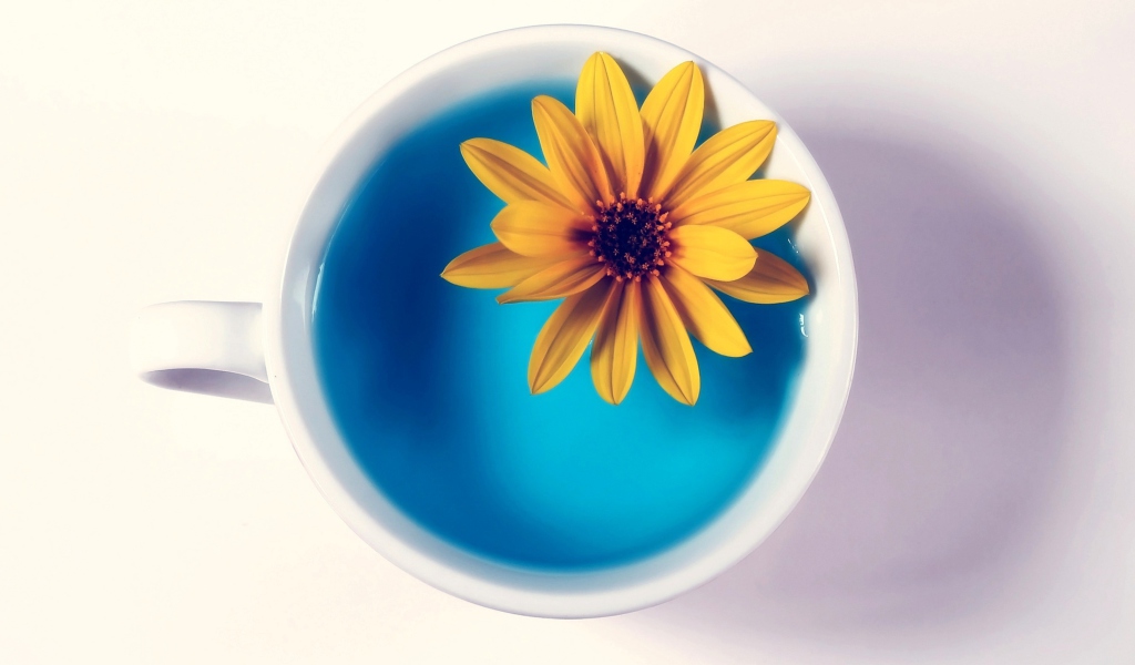 Das Yellow Flower Blue Water Wallpaper 1024x600