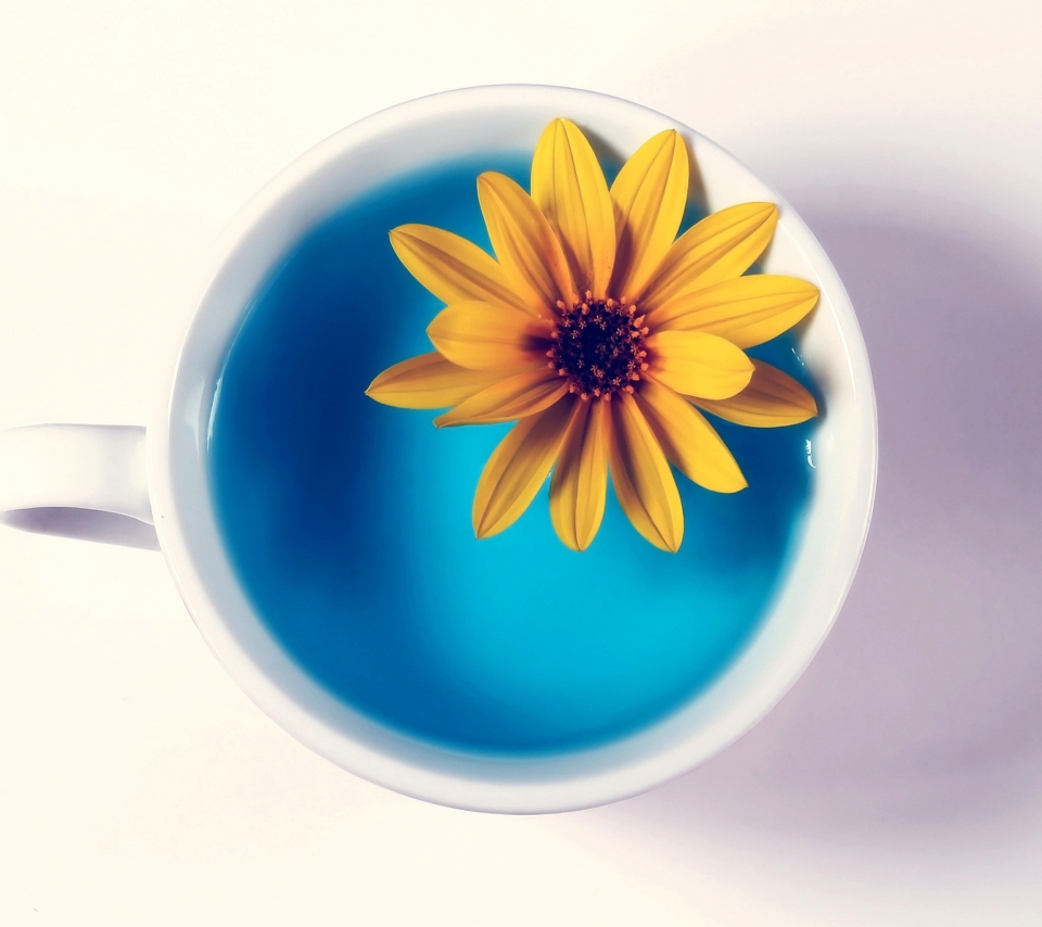 Yellow Flower Blue Water screenshot #1 960x854