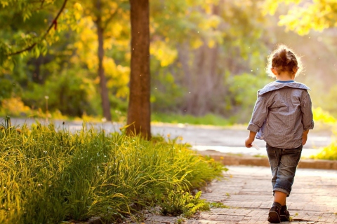 Sfondi Little Girl Walking In Park 480x320