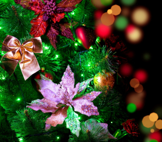 Christmas Decorations sfondi gratuiti per 1024x1024