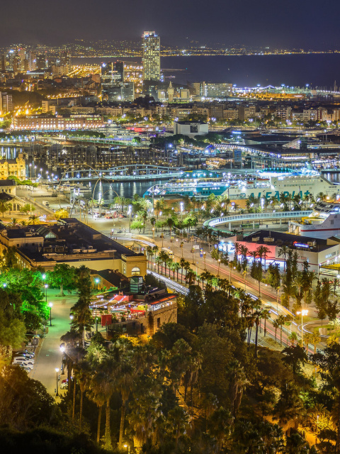 Barcelona Marina wallpaper 480x640