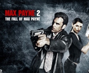 Fondo de pantalla Max Payne 176x144
